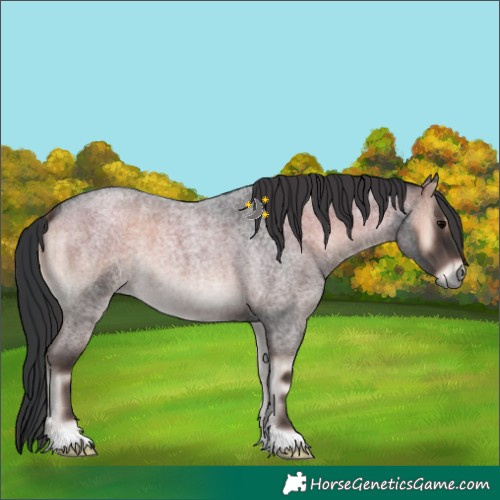 Horse Color:Blue Onyx Roan 