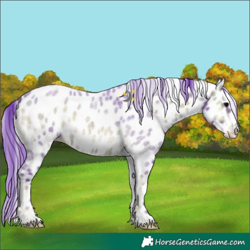 Horse Color:Watercolor Brown Ice Roan Onyx Leopard