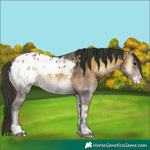 Horse Color:Plaid Brown Ice Onyx Blanket