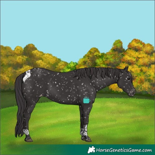 Horse Color:Smoky Black Tobiano Snowcap
