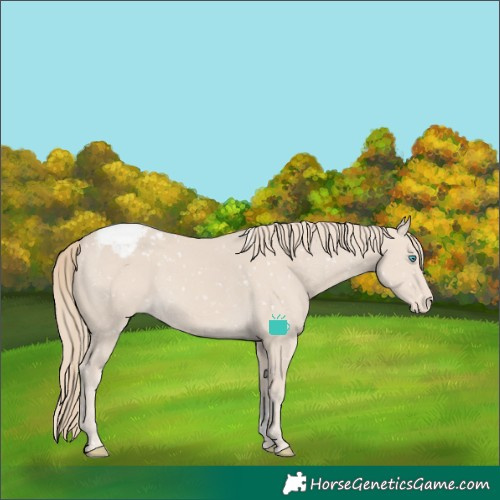 Horse Color:Smoky Creme Tobiano Snowcap