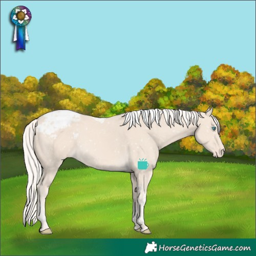 Horse Color:Cremello Tobiano Snowcap