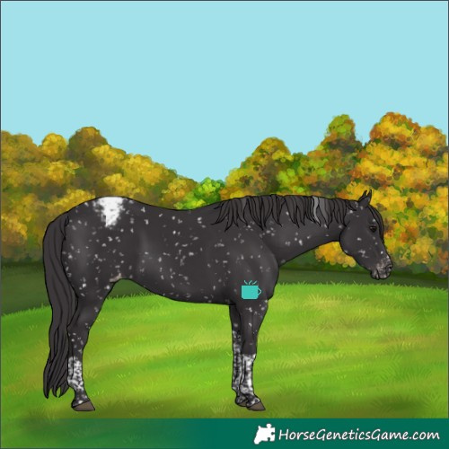 Horse Color:Smoky Black Tobiano Snowcap