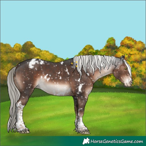 Horse Color:White Spotted Liver Chestnut Mushroom Sabino Snowcap 
