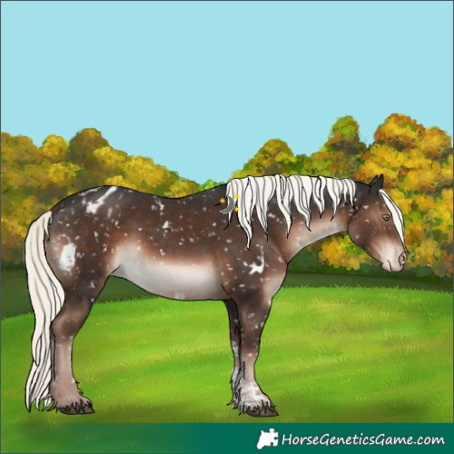 Horse Color:White Spotted Liver Chestnut Mushroom Sabino Blanket