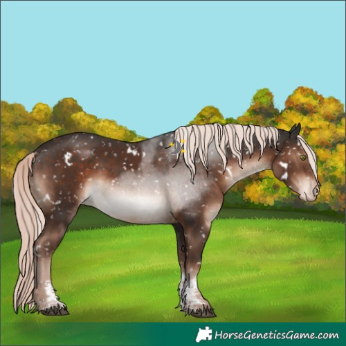 Horse Color:White Spotted Liver Chestnut Mushroom Sabino Snowcap