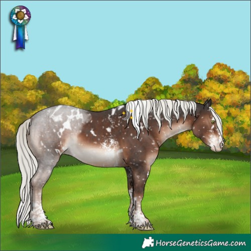 Horse Color:White Spotted Liver Chestnut Mushroom Sabino Blanket