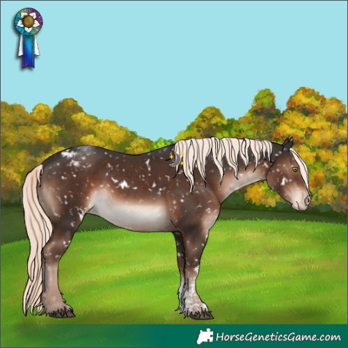 Horse Color:White Spotted Liver Chestnut Mushroom Sabino Blanket