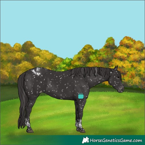 Horse Color:Smoky Black Tobiano Snowcap