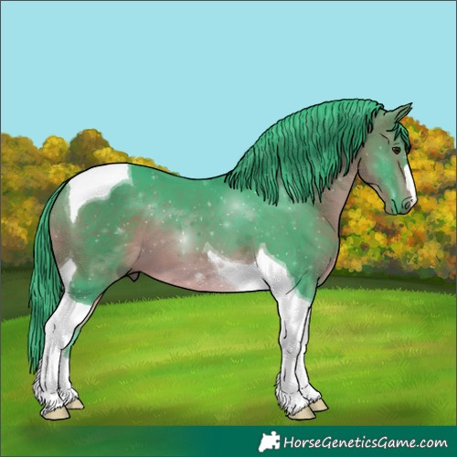 Horse Color:Watercolor Bay Tobiano
