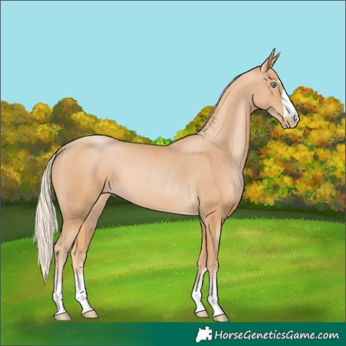 Horse Color:Palomino Pearl 
