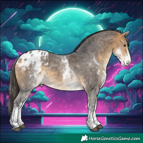 Horse Color:White Spotted Buckskin Sabino Blanket Rabicano
