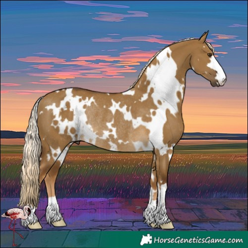 Horse Color:White Spotted Chocolate Palomino Dun Rabicano