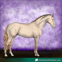 Horse Color:Gold Champagne Dun Splash 