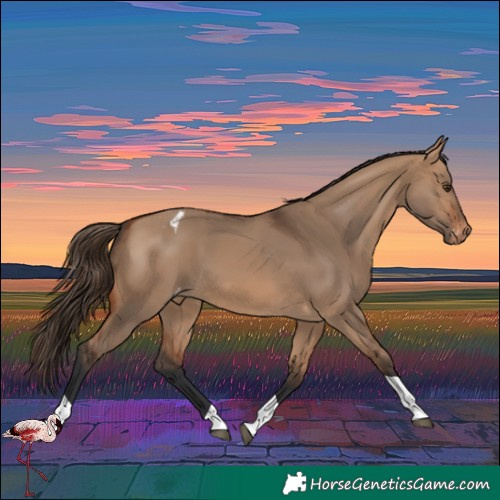 Horse Color:Bay Dun Tobiano Varnish Rabicano