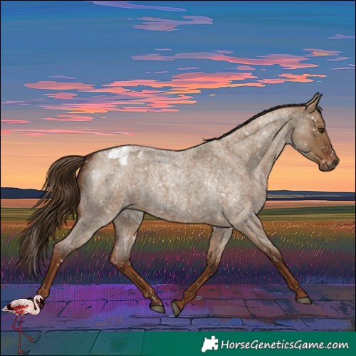 Horse Color:Gray Red Dun Roan Snowflake Varnish