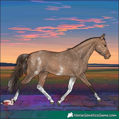 Horse Color:White Spotted Bay Dun Snowflake Varnish