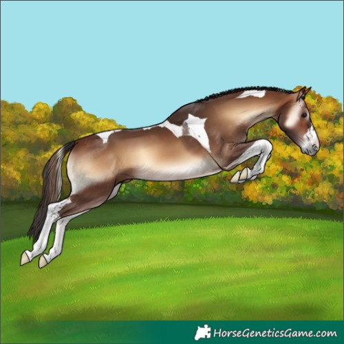 Horse Color:Brown Onyx Tobiano 