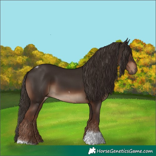 Horse Color:Liver Chestnut Tobiano Rabicano