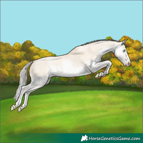 Horse Color:Silver Smoky Grullo Pearl Sabino Splash Tobiano
