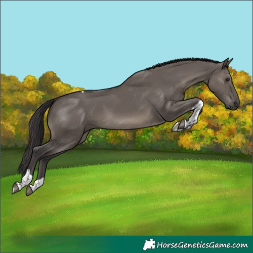 Horse Color:Smoky Grullo Tobiano