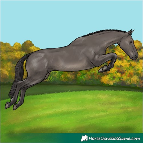 Horse Color:Smoky Grullo 