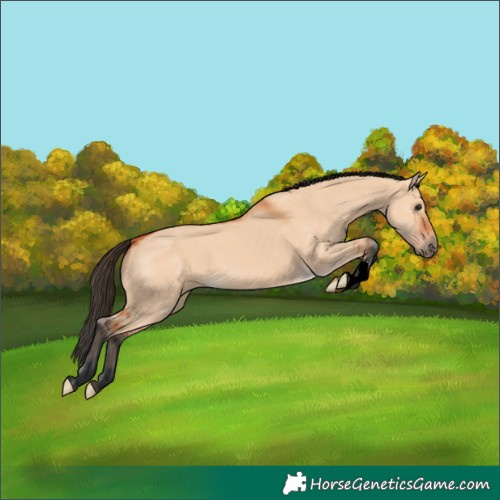 Horse Color:Bay Dun