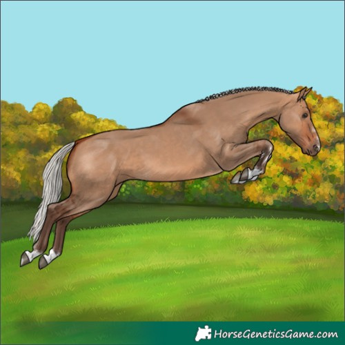 Horse Color:Silver Bay Dun