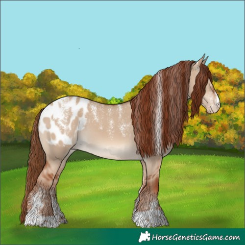 Horse Color:Powder White Red Dun Blanket