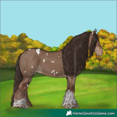 Horse Color:White Spotted Liver Red Dun Tobiano Varnish 