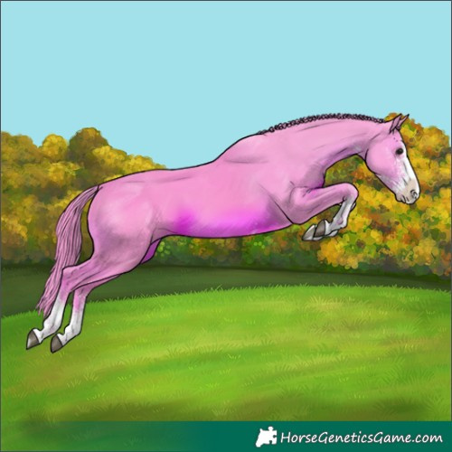 Horse Color:Watercolor White Spotted Black Splash 