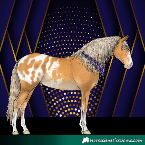 Horse Color:White Spotted Gold Cream Champagne Blanket 