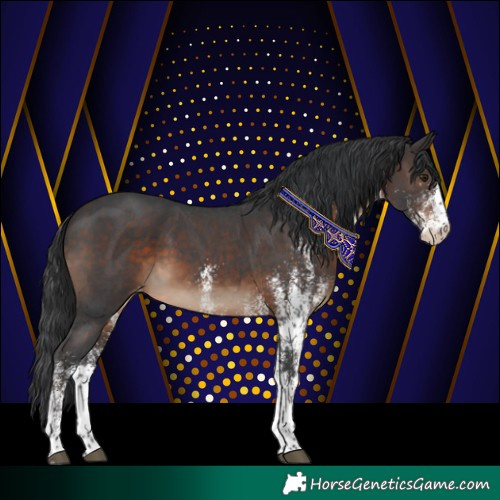 Horse Color:White Spotted Brown Varnish