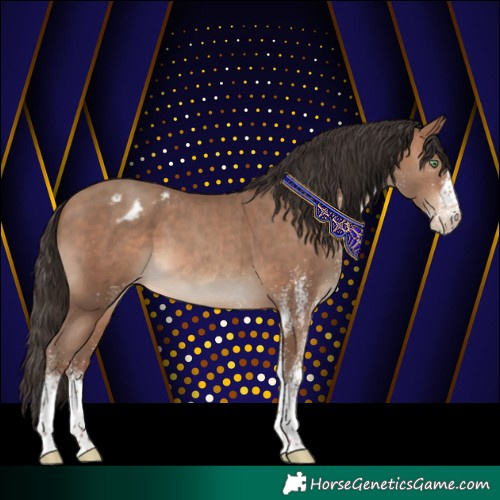 Horse Color:White Spotted Sable Champagne Blanket