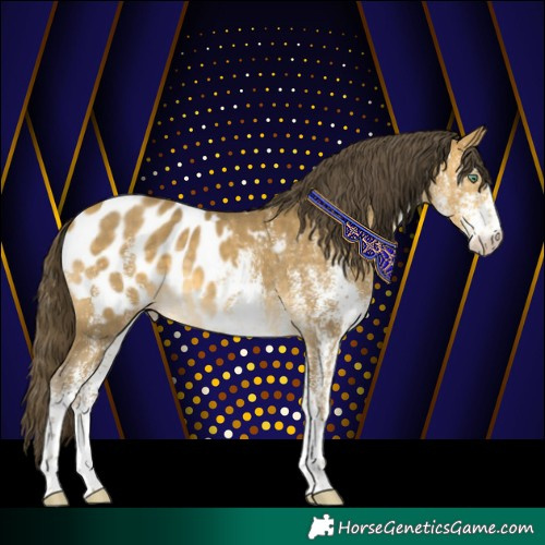 Horse Color:White Spotted Sable Cream Champagne Near Leopard