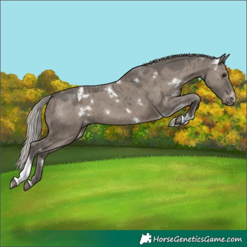 Horse Color:White Spotted Silver Grullo Tobiano Varnish Brindle