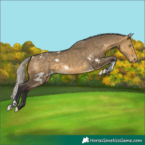 Horse Color:White Spotted Silver Buckskin Dun Tobiano Varnish