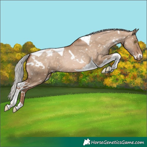 Horse Color:White Spotted Silver Brown Pearl Dun Tobiano Snowflake Varnish