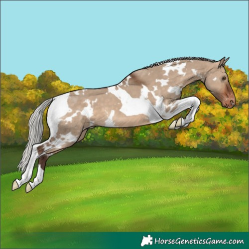 Horse Color:White Spotted Silver Brown Dun Tobiano Varnish