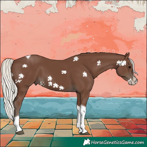 Horse Color:Silver Black Splash Tobiano 