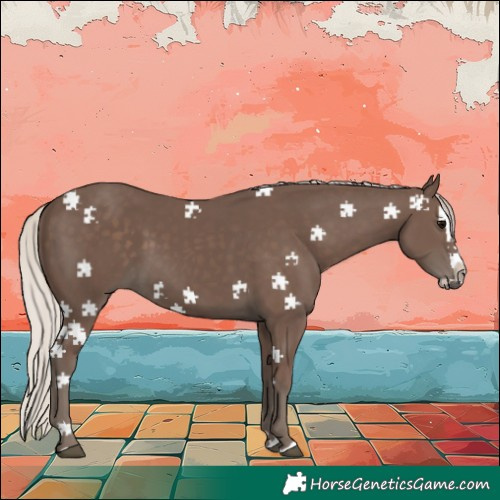Horse Color:Silver Black Splash 