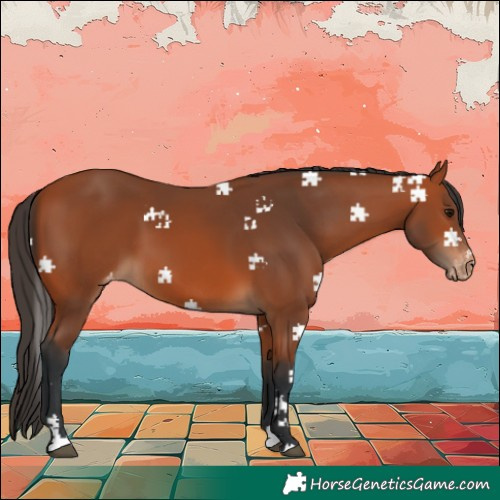 Horse Color:Bay Varnish