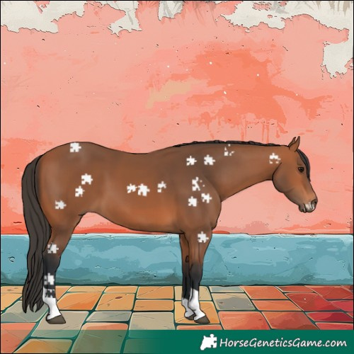 Horse Color:Bay Tobiano 