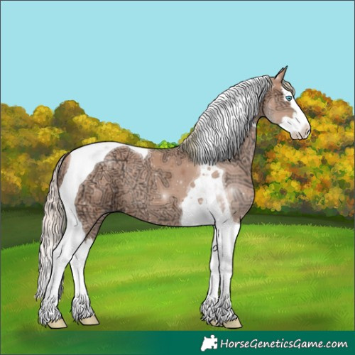 Horse Color:Watercolor Silver Grullo Ice Splash Tobiano 
