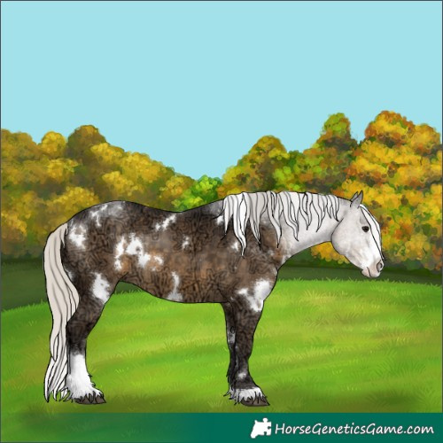 Horse Color:White Spotted Silver Smoky Black Ice Sabino