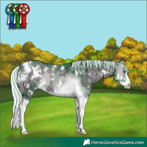 Horse Color:Watercolor White Spotted Silver Blue Onyx Chinchilla Ice Splash Tobiano