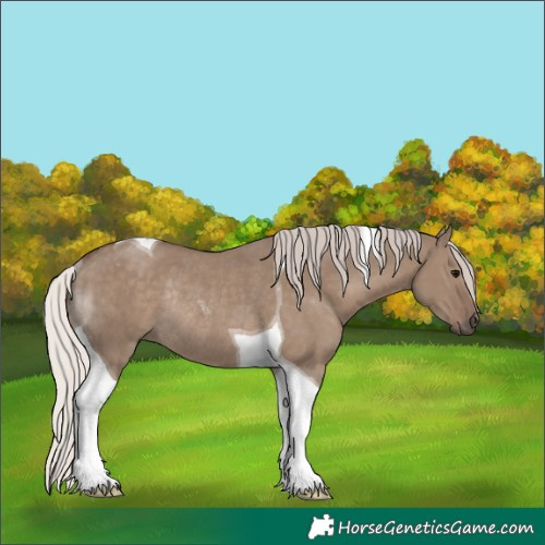 Horse Color:Silver Grullo Tobiano Rabicano