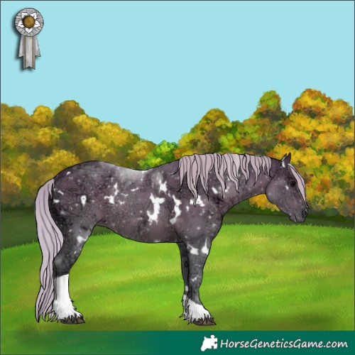 Horse Color:White Spotted Silver Black Ice Tobiano