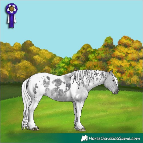 Horse Color:White Spotted Silver Black Chinchilla Tobiano 