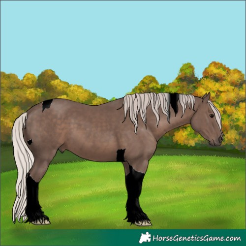 Horse Color:Silver Black Tobiano 